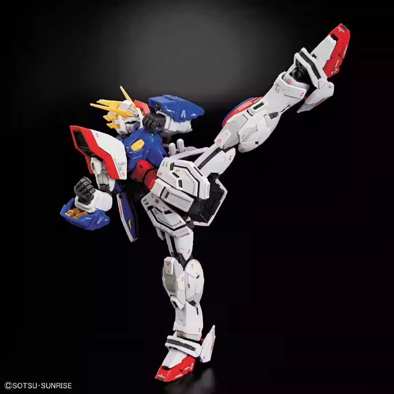 In Stock Bandai Genuine Figure - Bandai Model Gundam Rg review and price